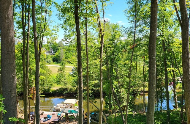 Riverfront in Downtown Bellaire - Year Round Fun! Boat/Golf/Bike/Ski/Fish/Hike