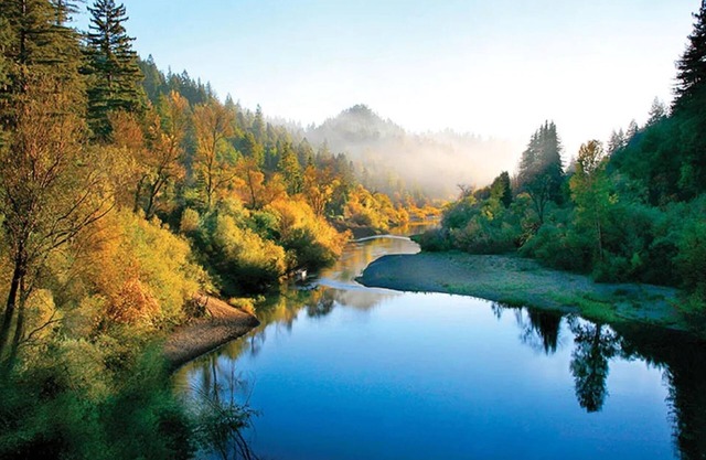 Rivers Breeze – Relaxing Riverside Cabin with Private Suite + Kayaks
