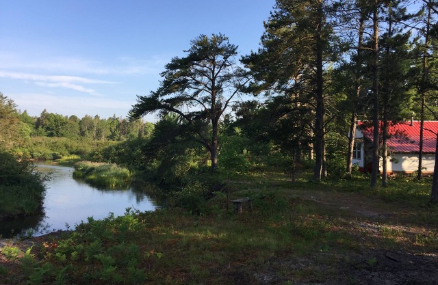 Rivers Edge / Off Grid / Bird Watching Summer Paradise