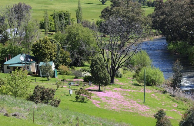 Rivers Edge Se aceptan mascotas Cottage Tumut
