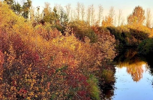 Riverside Acres