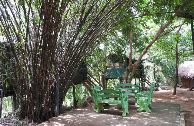 Riverside Cabana Yala