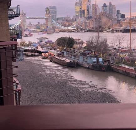 Riverside Private Room TowerBridge
