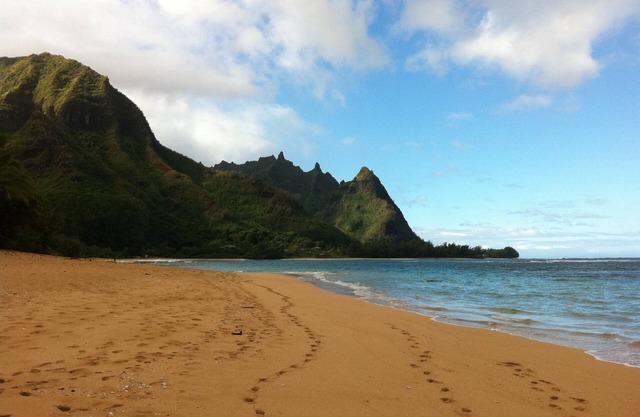 Riverside Tranquility in Paradise — 1/2 mile from the ocean (TVNC #1231)