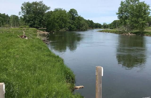 Riverview Hideaway New! Manistee River Frontage 2 Bedrom Cabin