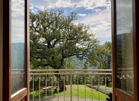Rocca di Febbre