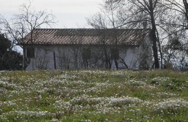 Roman Countryside! House surrounded by nature