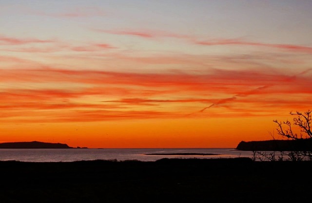 Romantic Downeast Ocean Front Cottage ~ Amazing Views ~Near Quoddy Head Park!