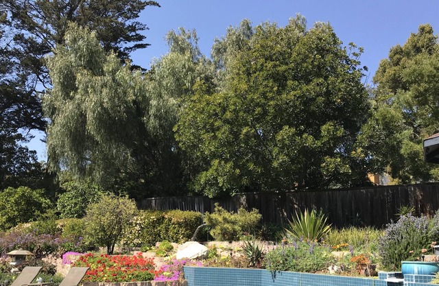 Romántico junto a la piscina, spa, retiro, cerca de la ciudad, descuento para dos personas