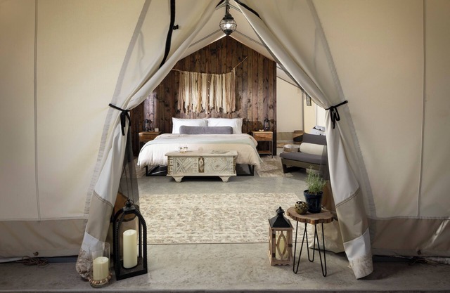 Star Studded Nights - Glamping Under the Stars - The Milky Way Tent