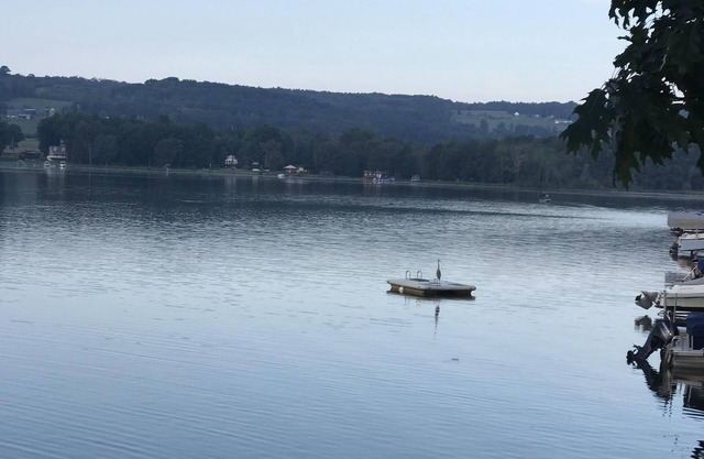 "Ron golden pond" es un lugar para crear recuerdos, un hogar especial con gran energía.