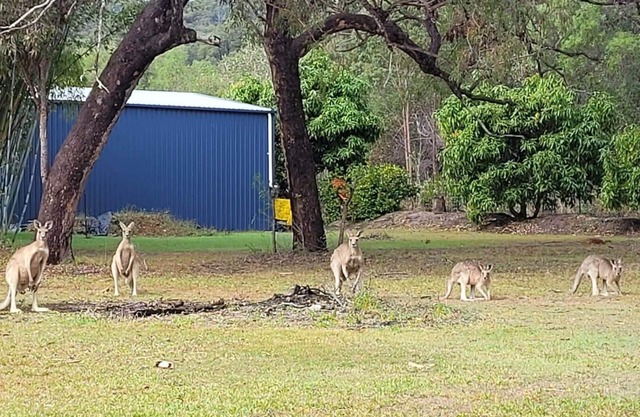 Roo Or 2 on Streeter