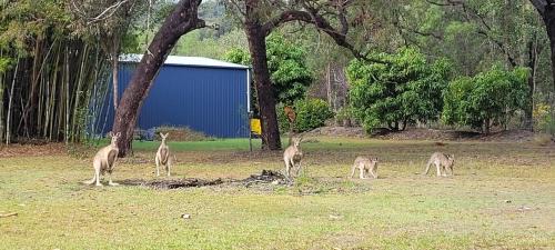 Roo Or 2 on Streeter