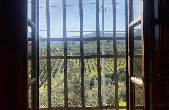 Room in B&B - Alessio Room Overlooking the Vineyards of Tuscany