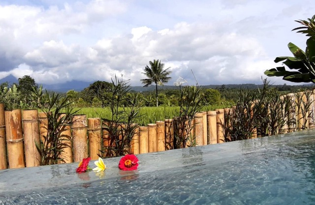 Room in Villa - The Champuhan Villa - Honeymoon Villa With Rice Field View