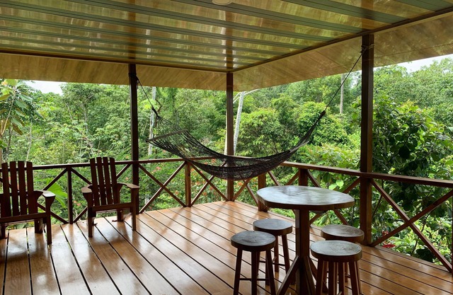 Room in Lodge - Villa With Primary Forest View
