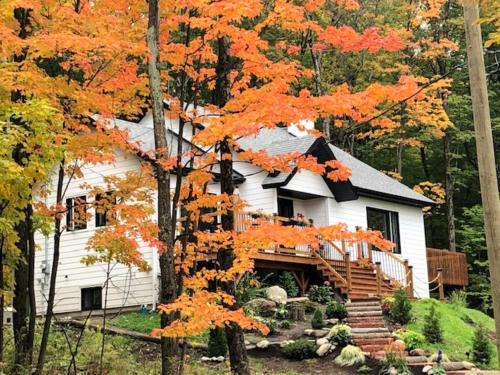 Rooms in peaceful nature settings