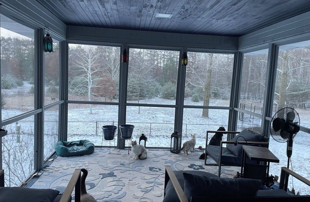 Roomy private country retreat - pet and kid friendly