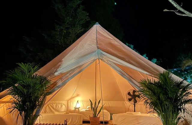 Roost Glamping