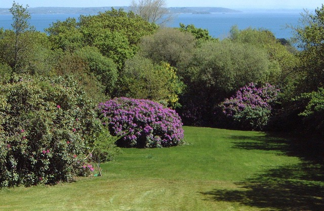 Roscanvel - Presqu'île de Crozon - Location Maison Tout Confort