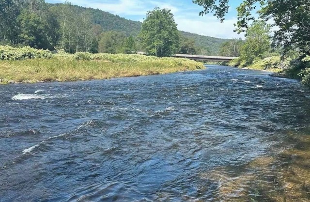 Roscoe Christmas House on the Beaverkill River with private fly fishing access !
