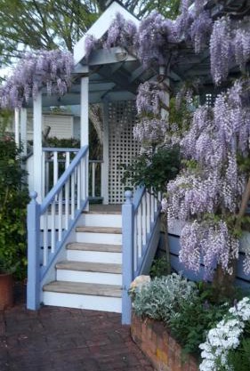 Rose Cottage B&B