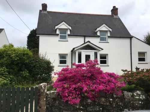 Rose Cottage Bee Happy anex