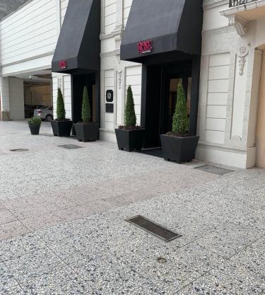 Rose Hotel