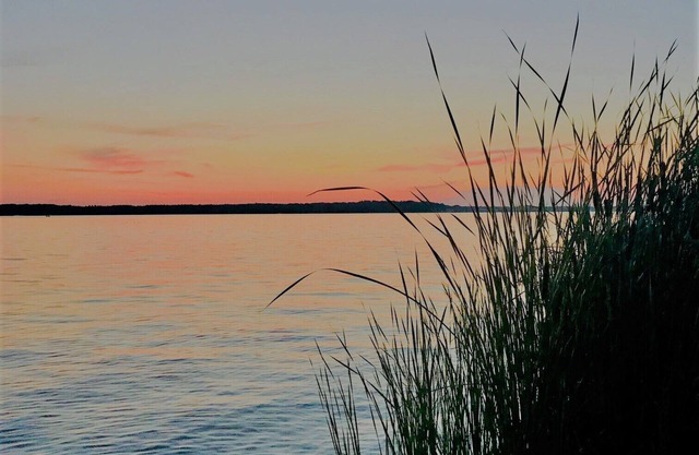 Rose's Retreat en Hamlin Lake-Private Paradise con vistas pintorescas