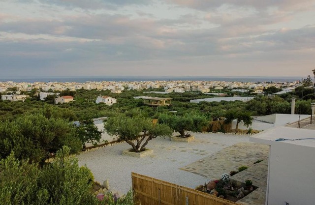 Rose View