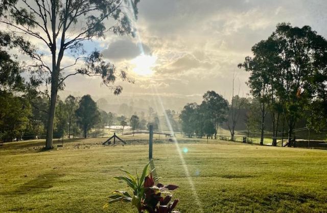 Rosehill cottage and bush retreat