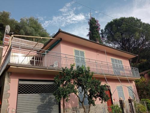 Roses House