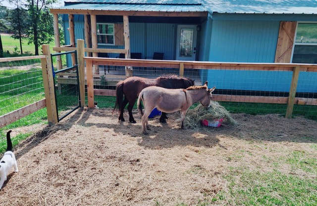 Rosie's Relaxing Ranch Retreat