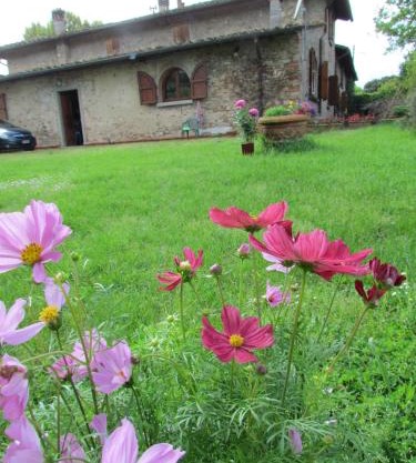 Rosso Papavero Home