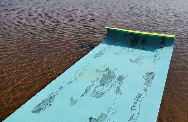 Round Lake Beach House close to Bonnechere Provincial Park