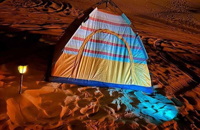 Royal Desert Tours LLC