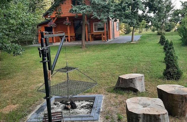 Roztocze 3 kroki od sosny