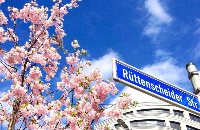 RÜ Business Apartments & Suites