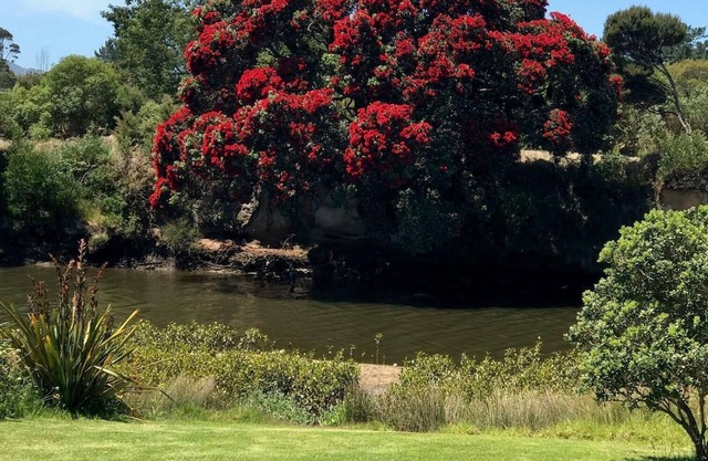 Ruakaka River & Beach Apartment