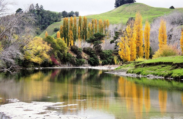 Retiro de Ruakituri - Frente del río sereno
