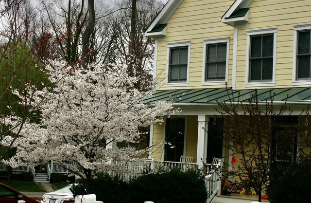 Rugby area home--Perfect for UVa Graduation (one mile from the Rotunda)