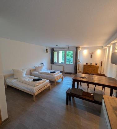 Ruhiges 1 Zimmer Appartement mit Terasse Chemnitz