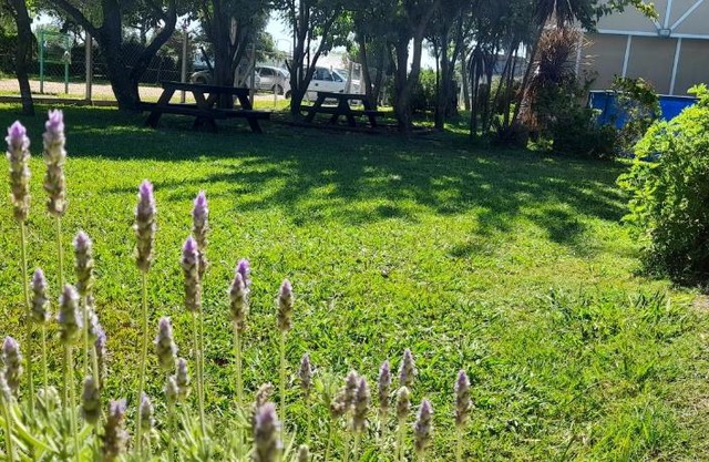 RULITOS DE SOL