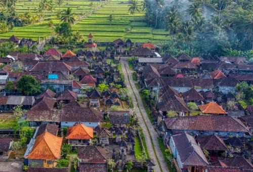 Rural Atmosphere at Bali Coconut House in Delodsema Village