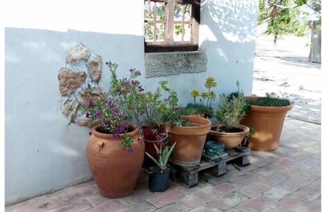 Casa Rural el Olivar de las Pepinas