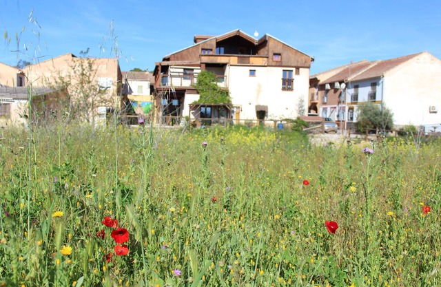 Casa rural (alquiler íntegro) La Choza de Trasmulas hasta 30 personas