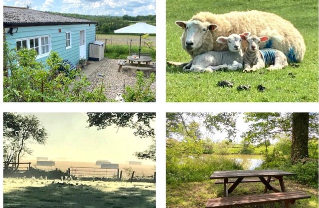 Rural Retreat in Idyllic Countryside - fishing & walks