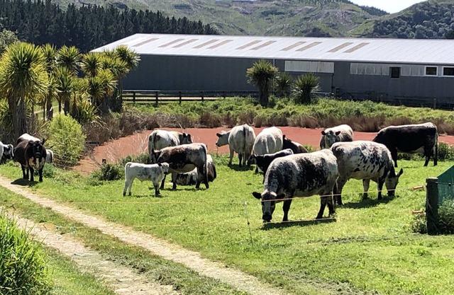 Retiro rural en una granja orgánica en funcionamiento.
