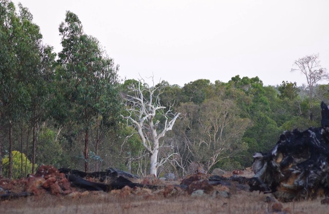 Rural retreat set on 100 acres nestled agaisnt the Whicher Range National Park