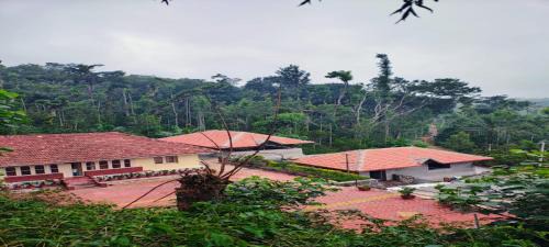 Rushika Homestay Chikmagalur